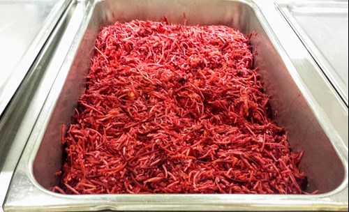 Magenta Root Slaw